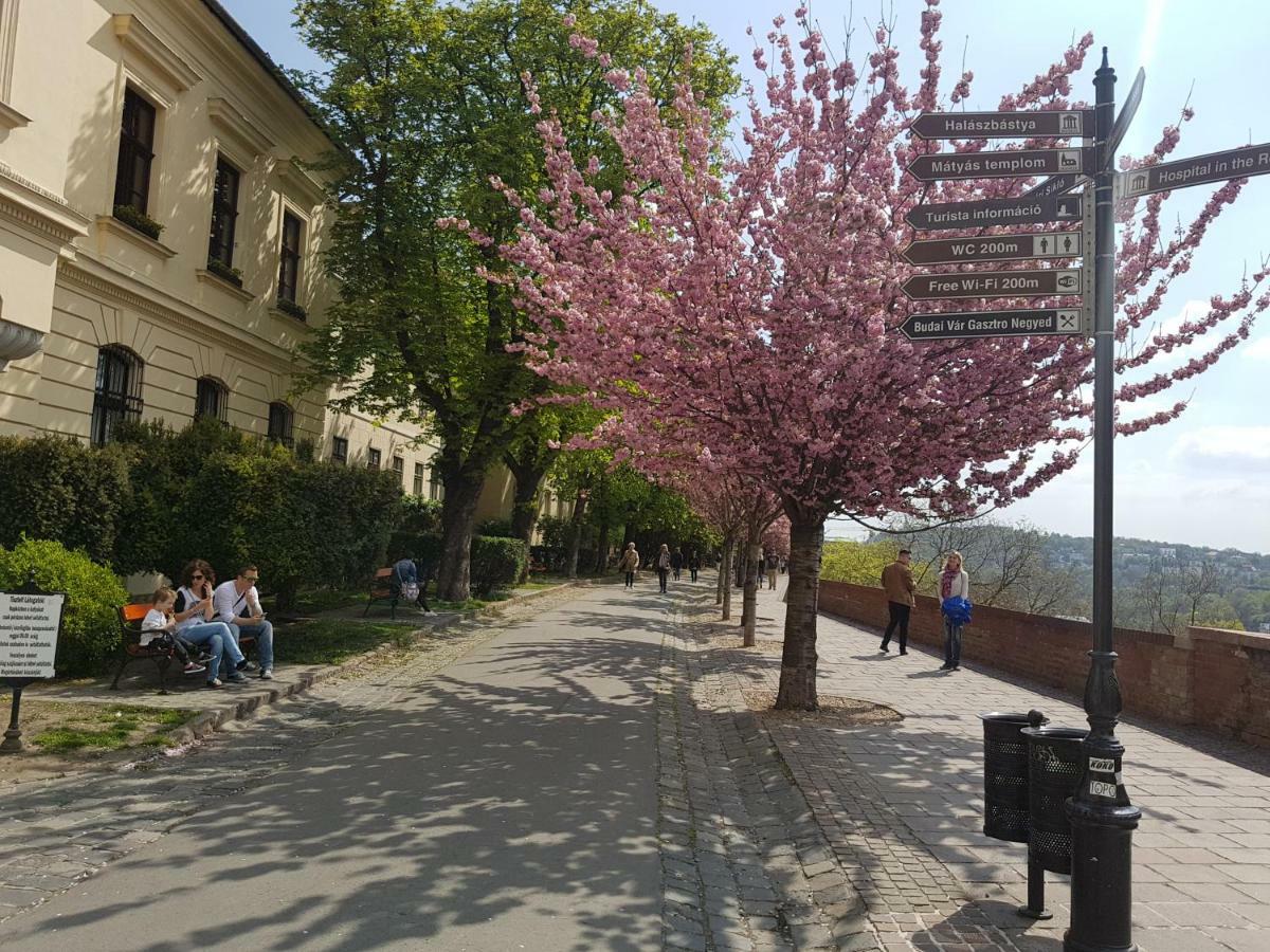 Budasmile Appartment At Buda Castle - Aircon & Free Parking Budapesta Exterior foto