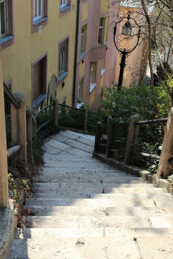 Budasmile Appartment At Buda Castle - Aircon & Free Parking Budapesta Exterior foto
